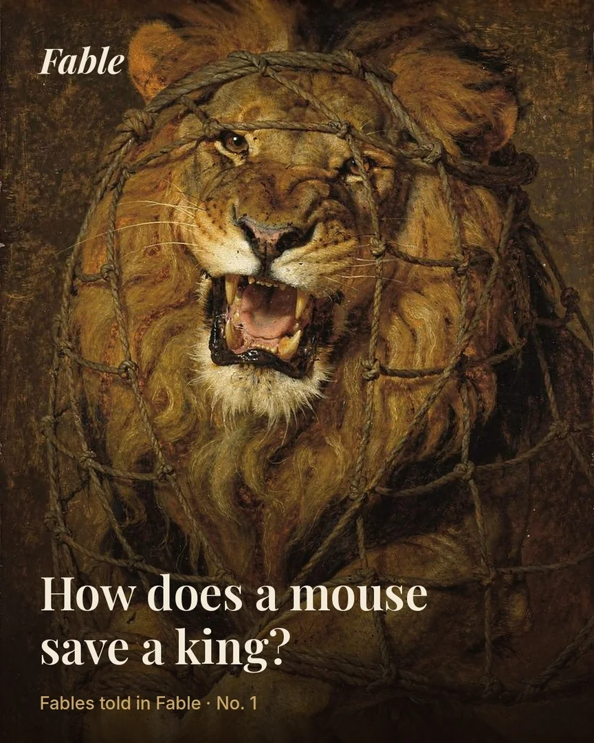 A lion roaring inside a hunter’s rope net
