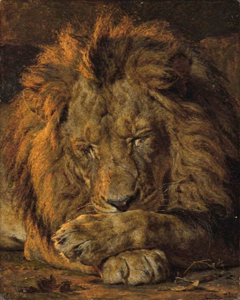 A great lion asleep in the warm dark