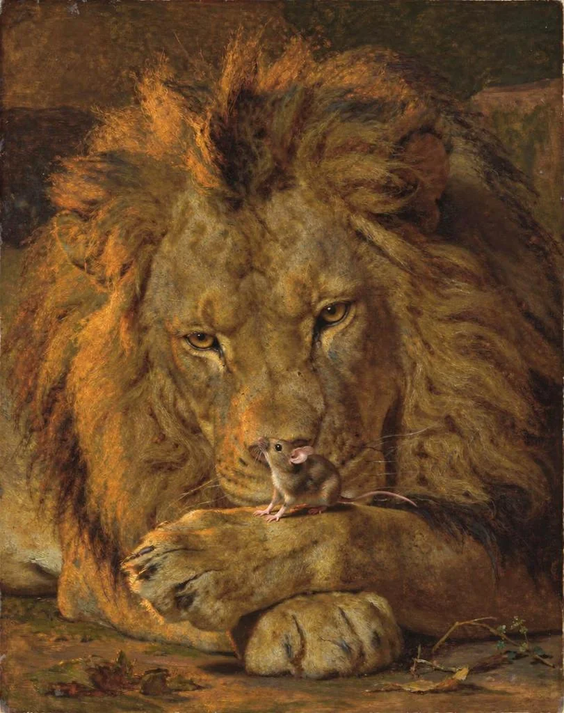 The lion awake, the mouse caught at his paw