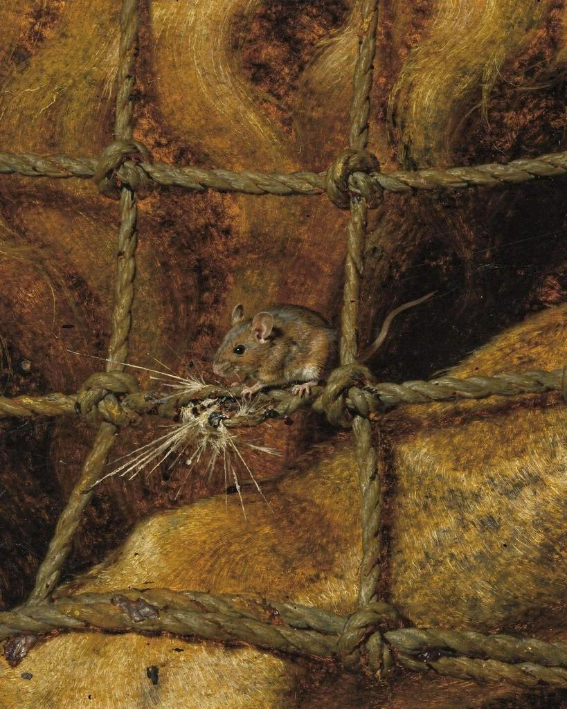 The mouse gnawing through the rope of the net