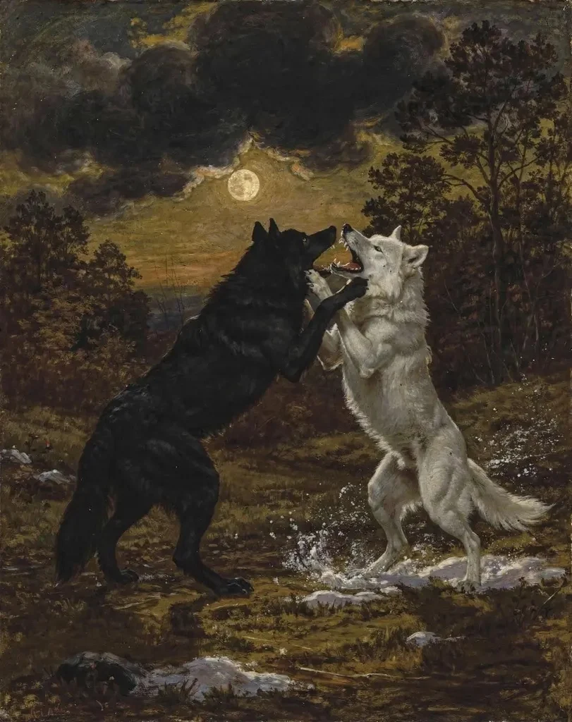 The black wolf and the white wolf rearing up and fighting