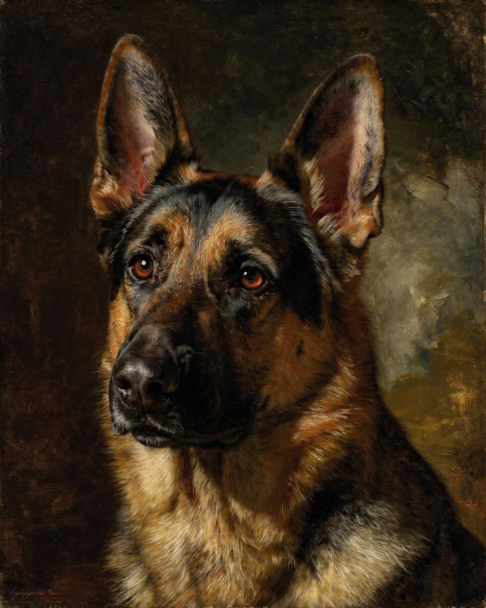 Pets — custom painted portrait by Fable